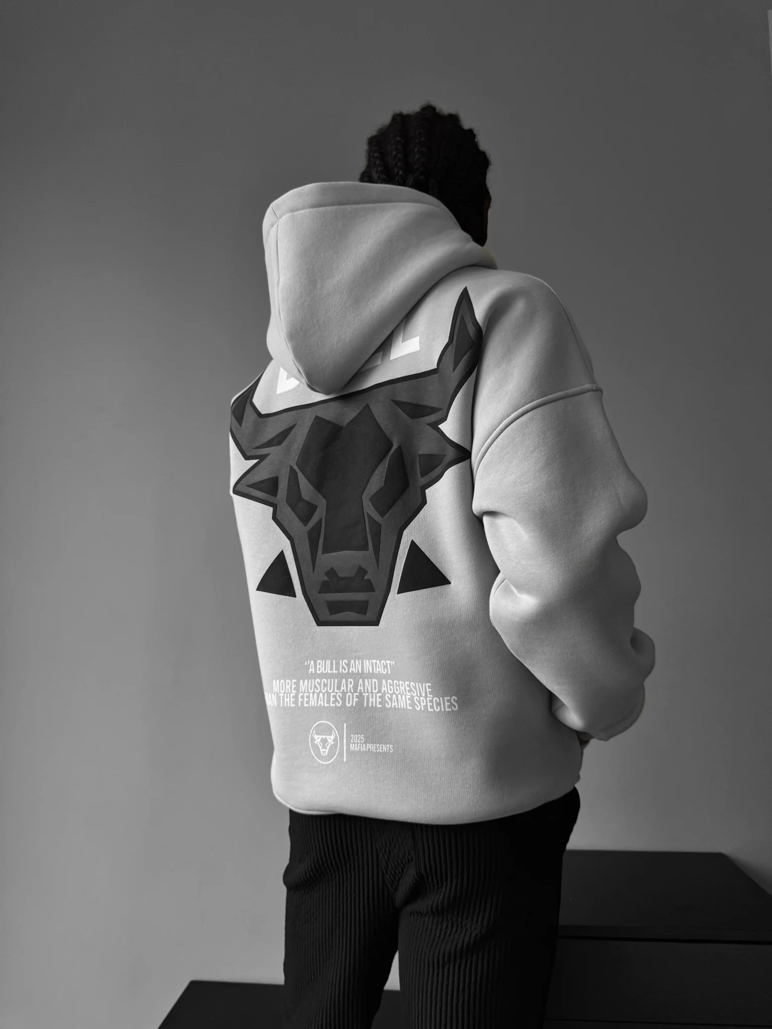 Oversize Bull Hoodie - Mushroom Grey - Image 3