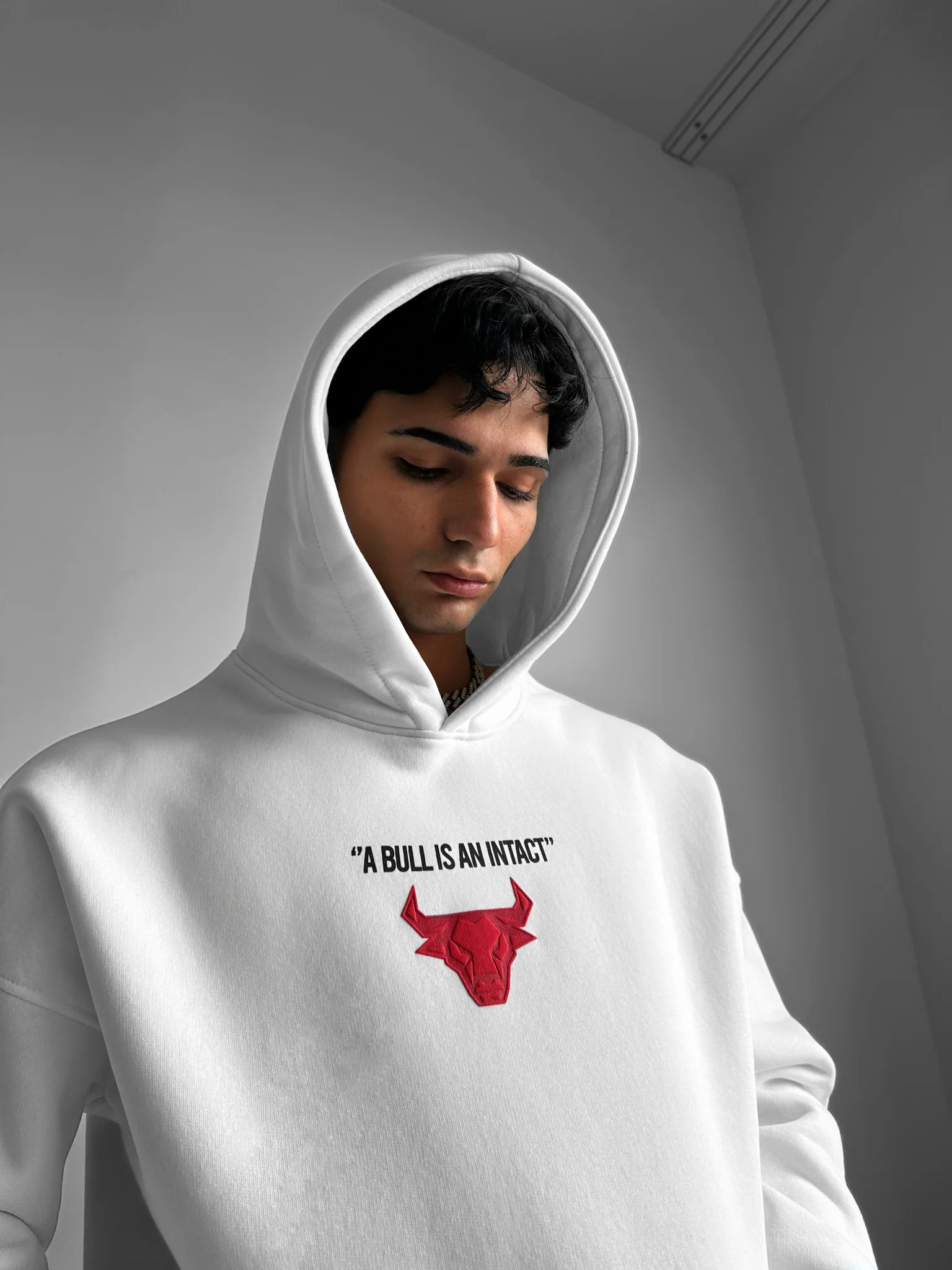 Oversize Bull Hoodie - Off White - Image 5