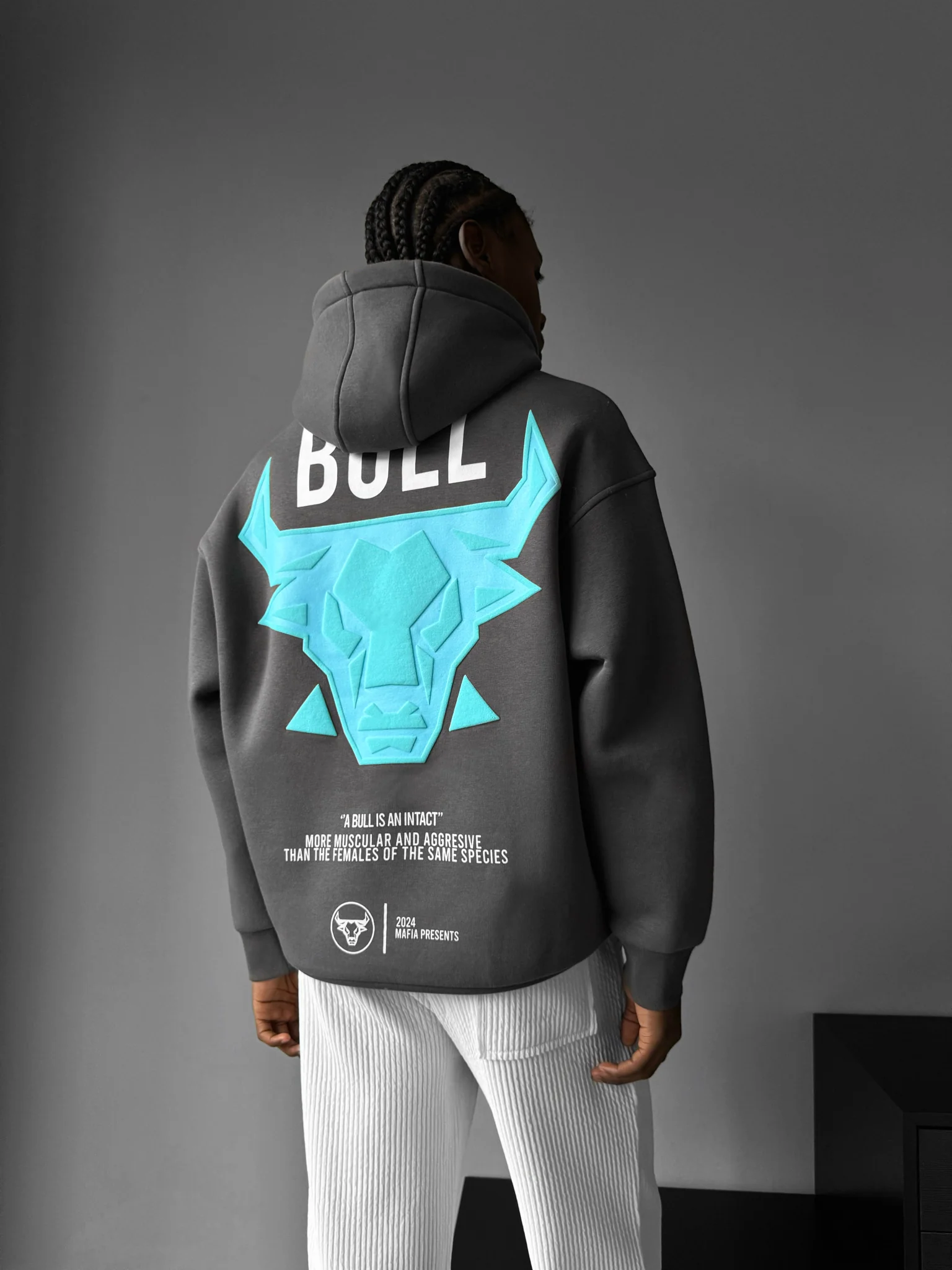 Oversize Bull Hoodie - Tornado Grey - Image 4