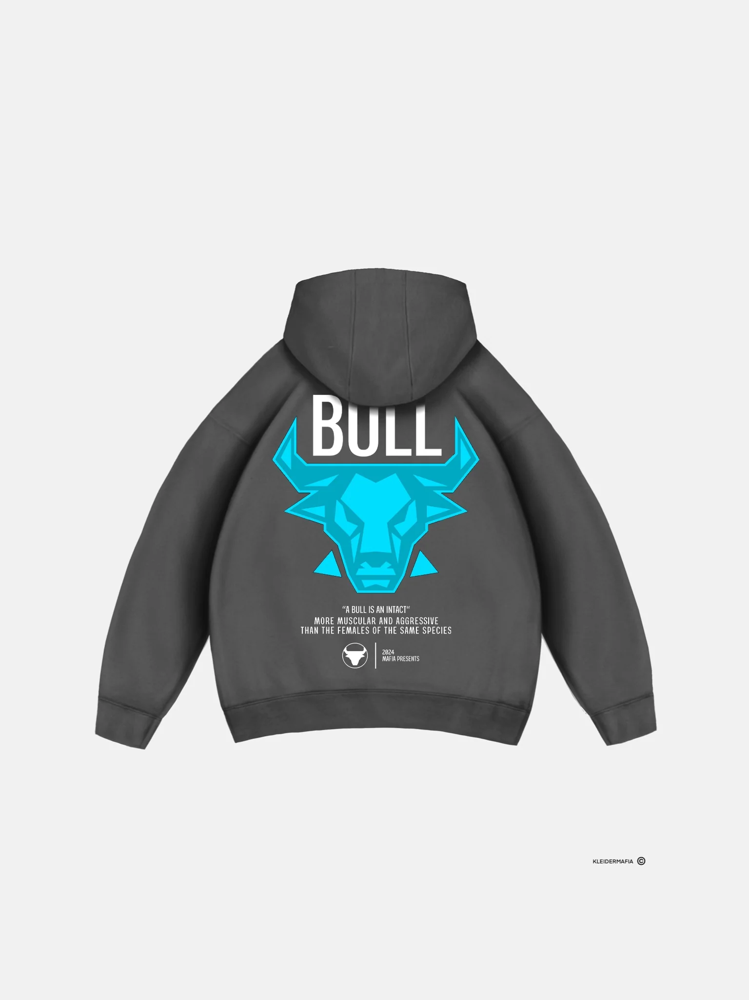 Oversize Bull Hoodie - Tornado Grey - Image 5