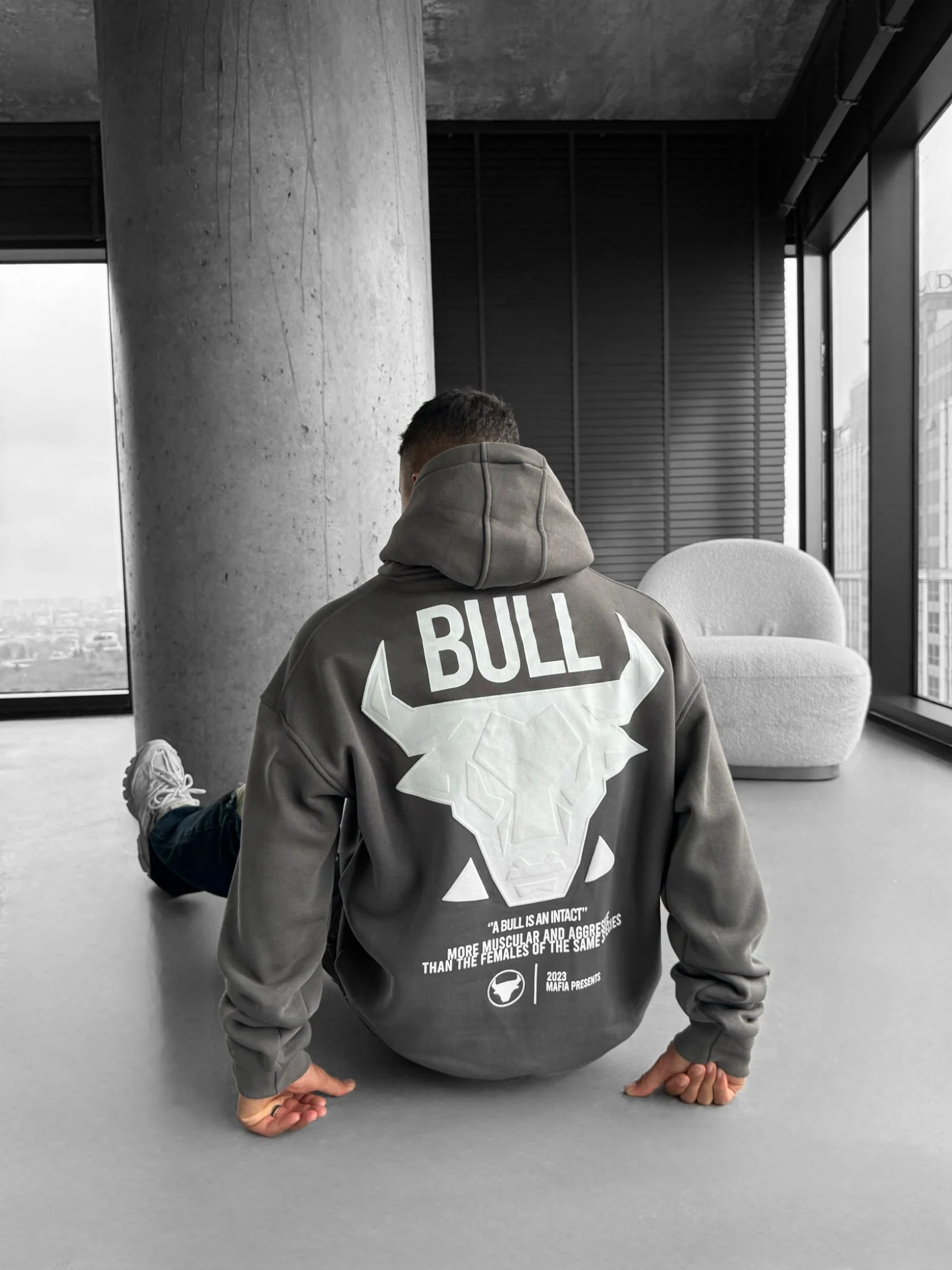 Oversize Bull Hoodie - Anthracite - Image 2