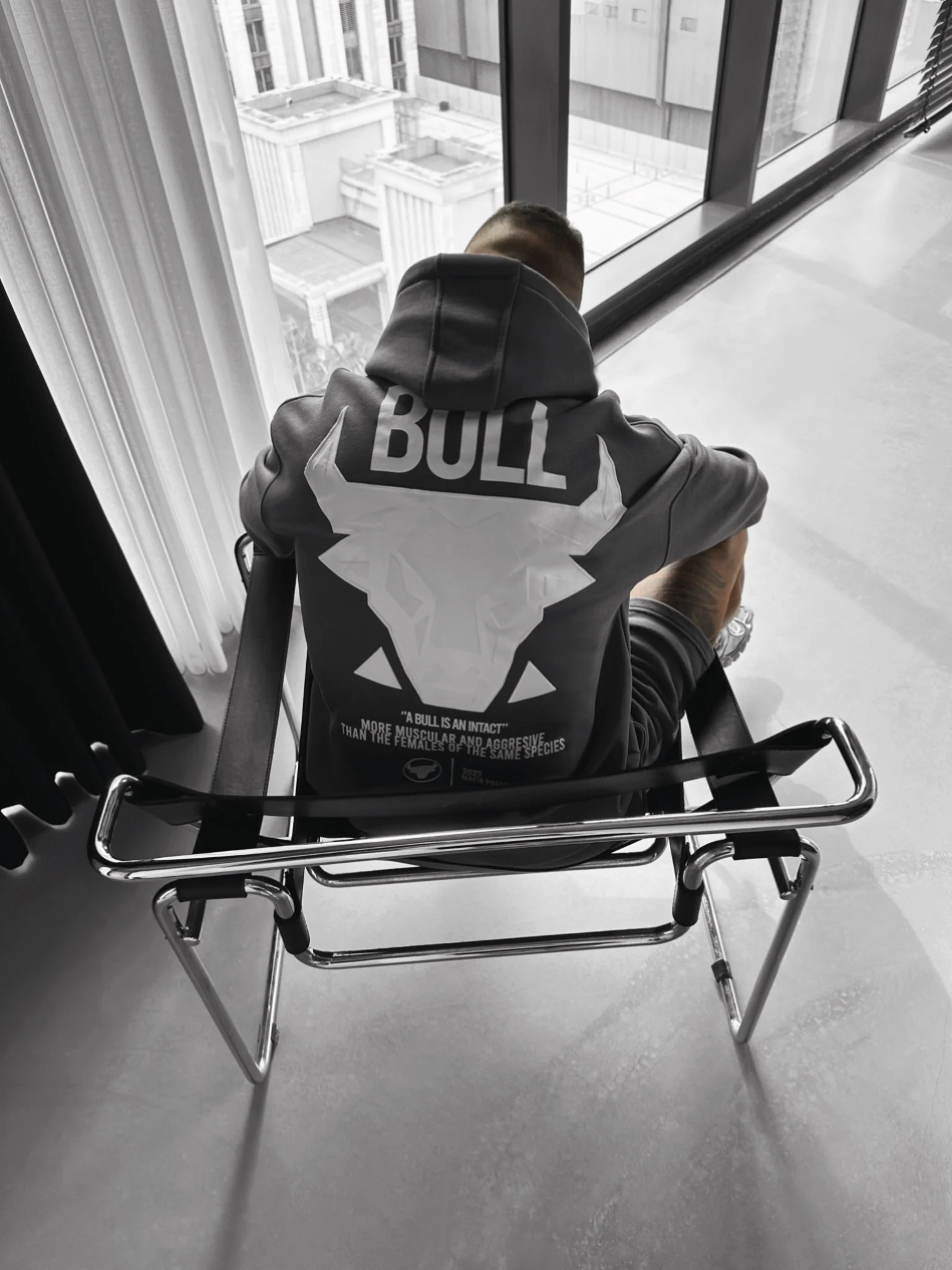 Oversize Bull Hoodie - Anthracite - Image 3