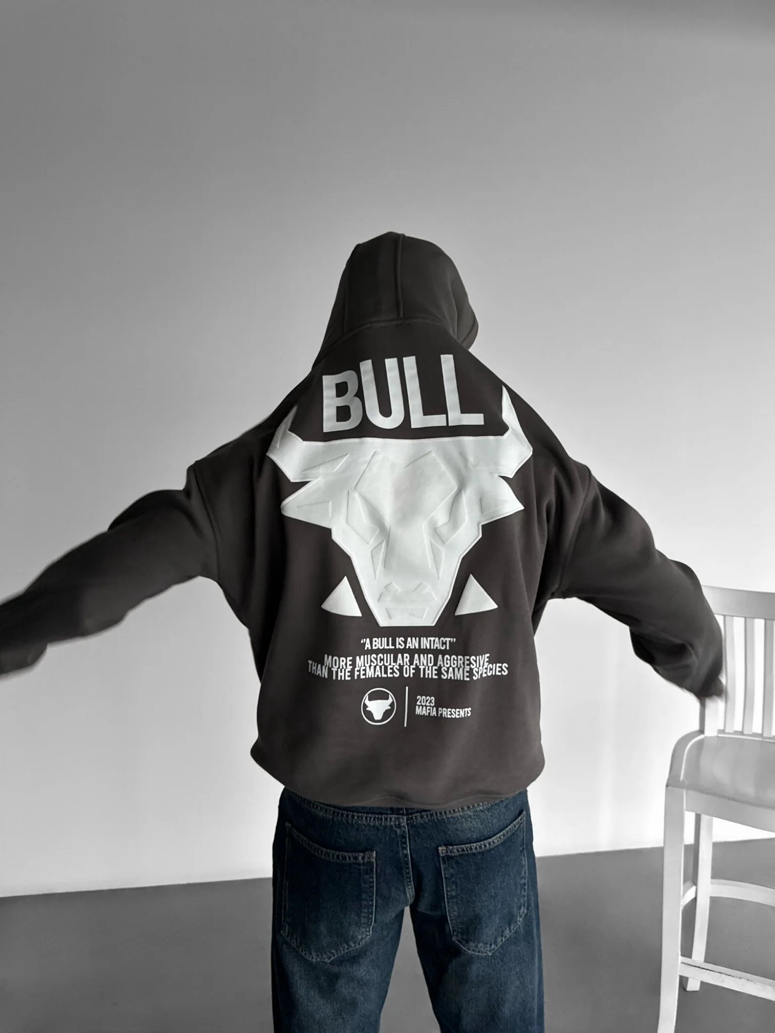 Oversize Bull Hoodie - Anthracite - Image 7